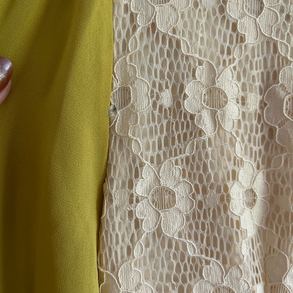 Alice moon vintage style lace dress size Large! - Picture 3 of 14